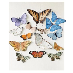 Giant vintage paper butterflies