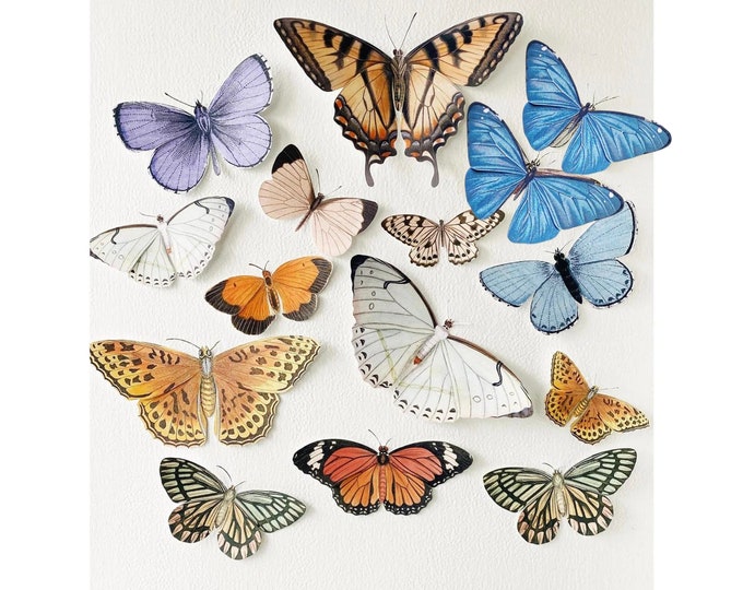 Giant vintage paper butterflies