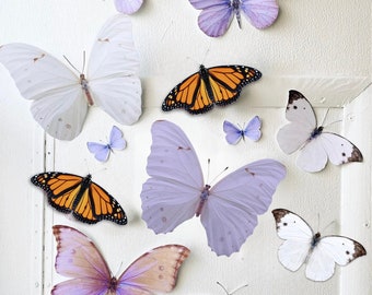 Giant pastels with Monarchs paper butterflies