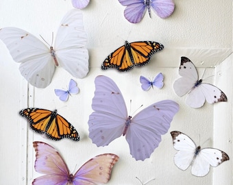 Giant Pastel Paper Butterflies with Monarchs