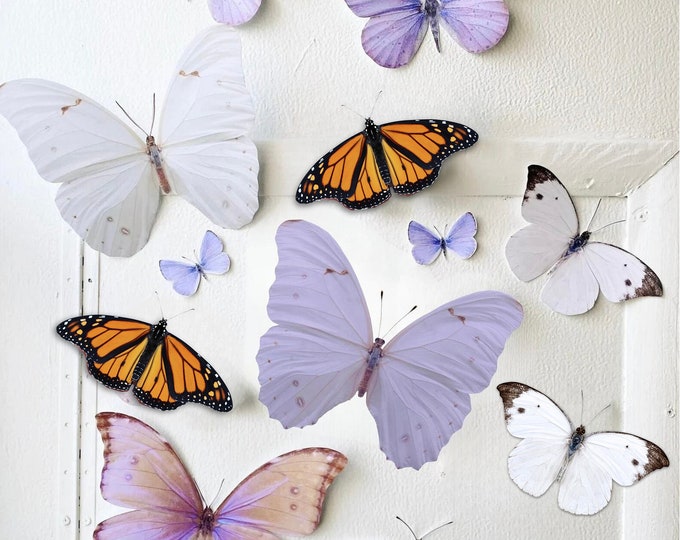 Giant Pastel Paper Butterflies with Monarchs