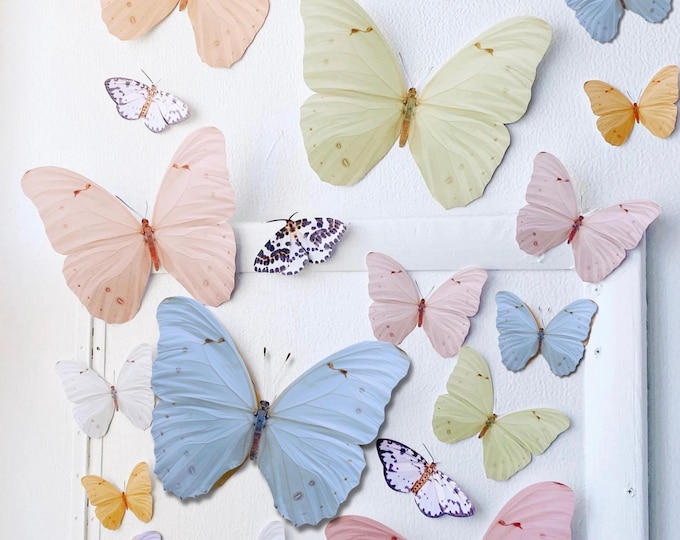 Floral Paper Butterfly & Moth Decor: 22-Piece Wall Art Set
