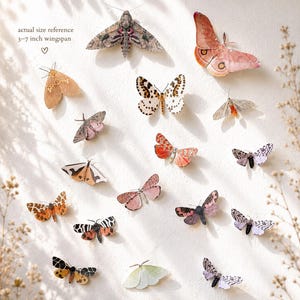 Mariposas de Papel Realistas | Decoração de Parede Inspirada na Natureza