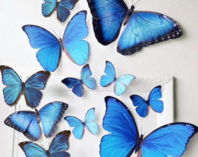 Goliath Blue Morpho paper butterflies 5-17 inches