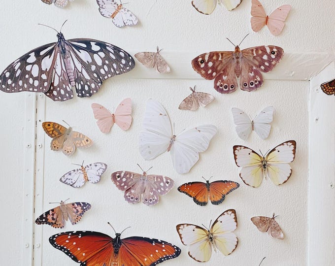 Woodland Paper Butterflies: Party, Nursery, & Room Decor