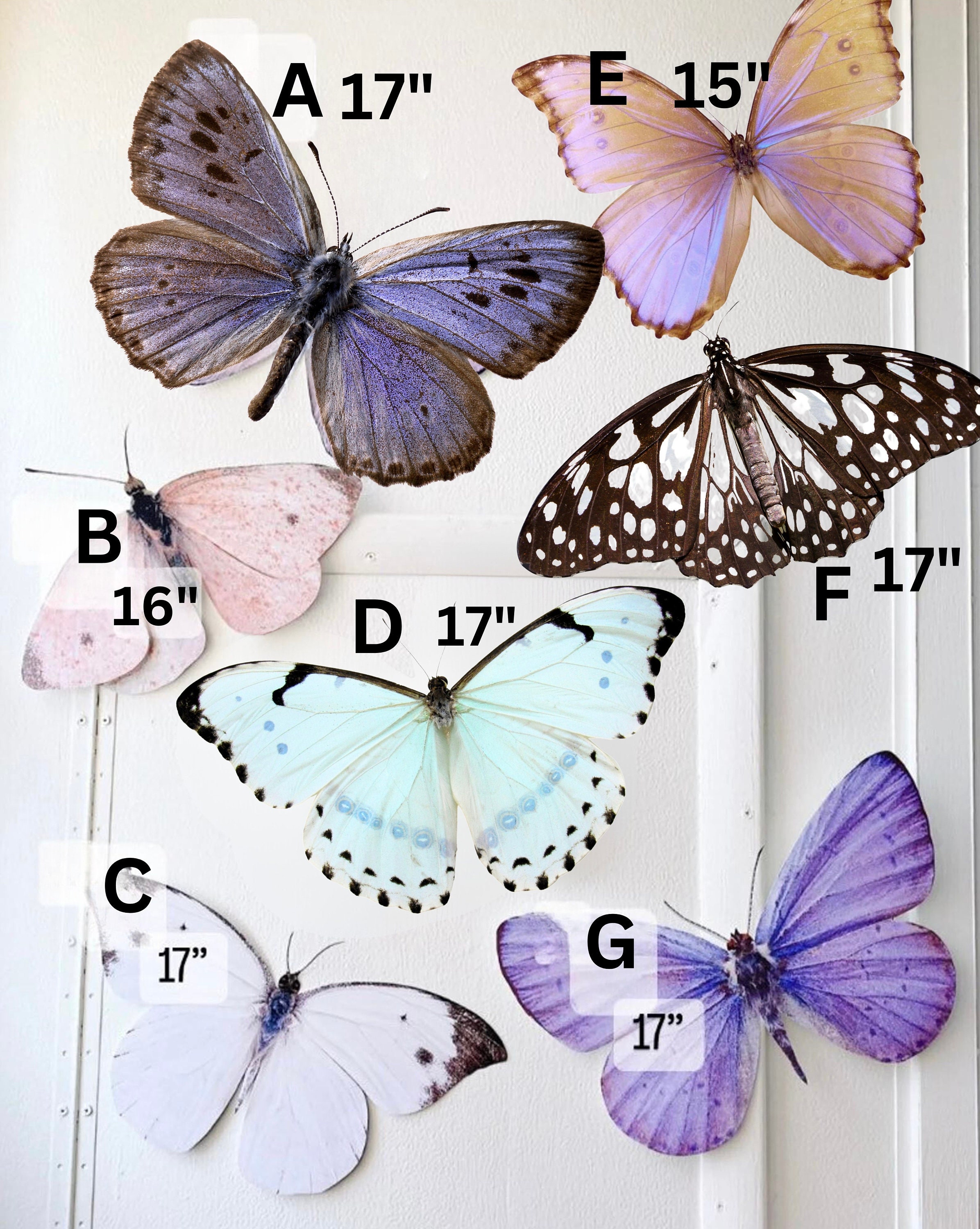 Group Large Fake Butterflies That Stuck Stock Photo 1501774496