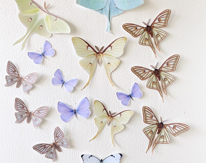 Paper Luna moths and Butterflies