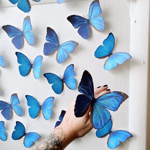 Blue Paper Butterfly Decor