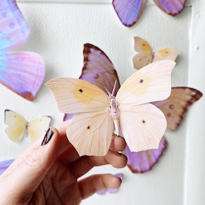 Giant pastel sunset paper butterflies image 2