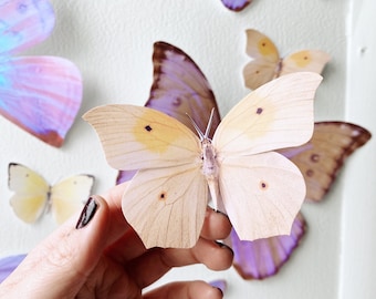 Giant Sunset Paper Butterflies
