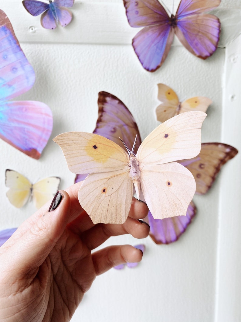 Giant pastel sunset paper butterflies image 2