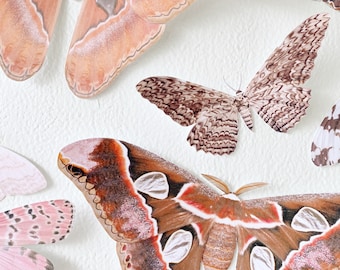Giant Paper Moth Decor