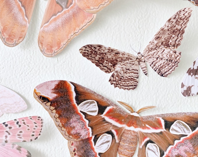 Giant Paper Moth Decor