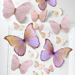 Giant pastel sunset paper butterflies image 9