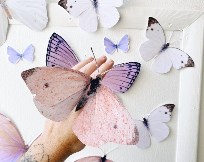 Giant Pastel Paper Butterflies