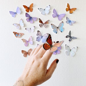 Assorted pastel Mini Paper Butterfly Set - Charming Party & Home Decor