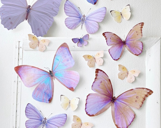 Giant Paper Butterflies Pastel Sunset lavender