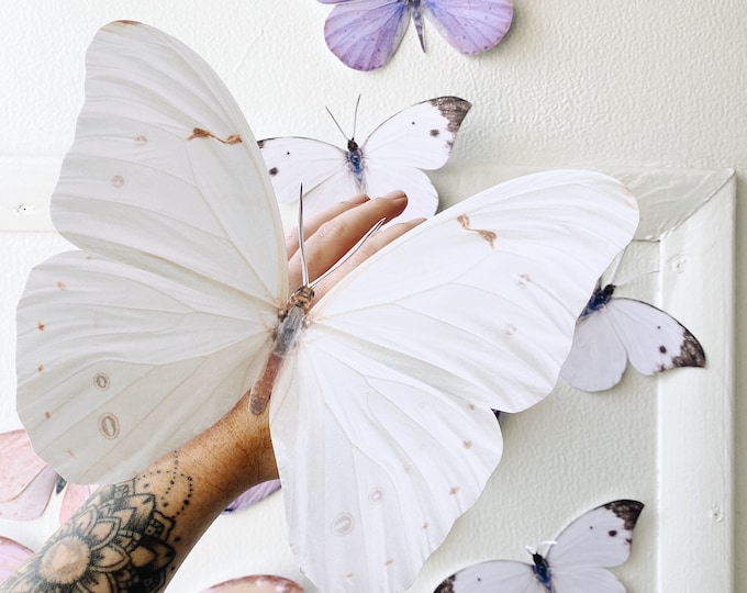 Giant Pastel Paper Butterflies