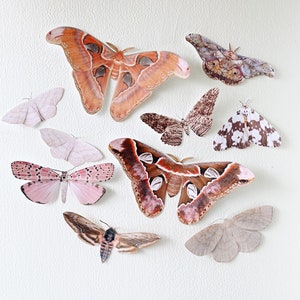 Giant Paper Moth Decor