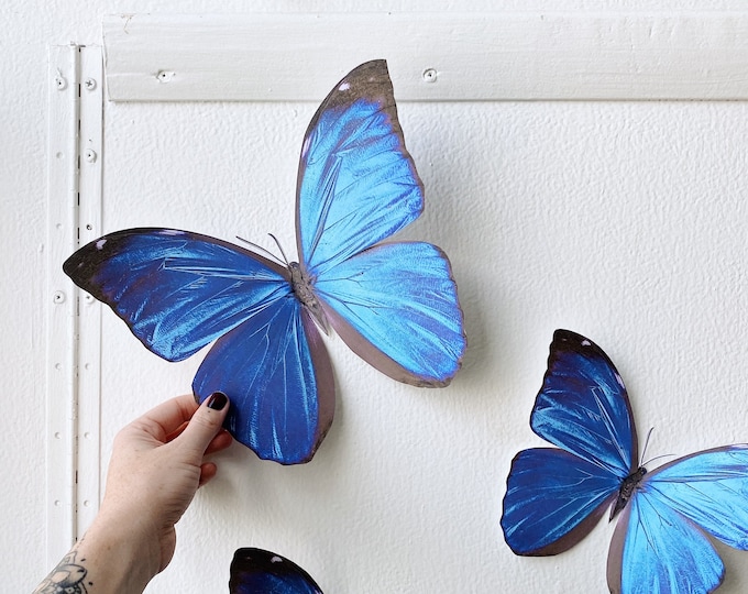 Giant Blue Morpho Paper Butterfly Decor