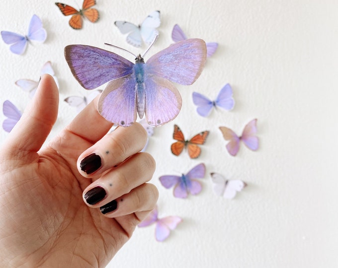 Miniature paper butterflies pastel party decor