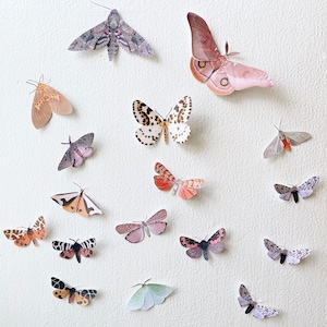 Moth decor small paper home and party decor