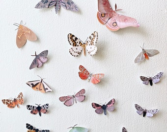 Small paper moths