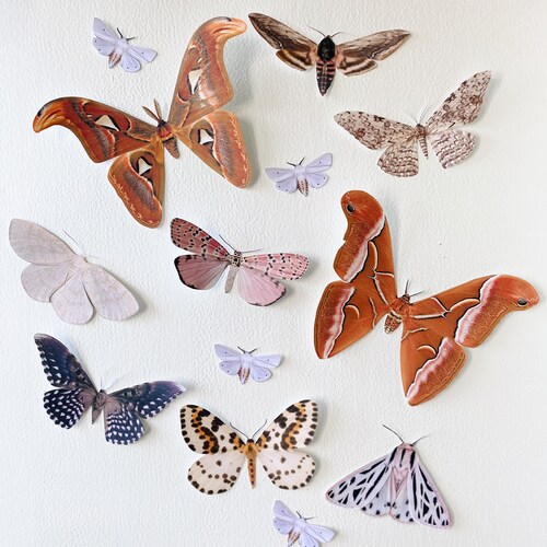 Giant Paper Moths | Etsy