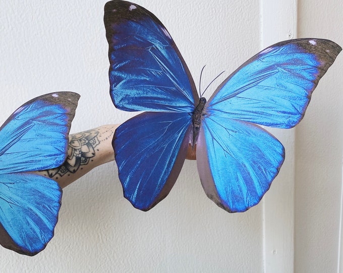 Giant Blue Morpho Paper Butterfly Decor