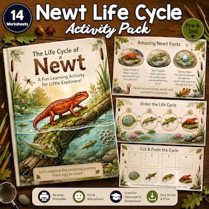 Könnte beinhalten: Ein Aktivitätspaket zum Lebenszyklus eines Molchs mit 14 Arbeitsblättern. Das Buchcover zeigt einen roten Molch auf einem Baumstamm mit dem Text The Life Cycle of a Newt. Weitere Blätter enthalten Fakten, den Lebenszyklus und Bastelaufgaben.