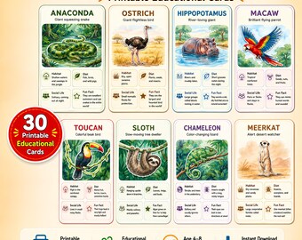 May include: A set of 30 printable educational flashcards titled Jungle vs Safari Animals. Each card features a colorful animal illustration, including an anaconda, ostrich, hippopotamus, macaw, toucan, sloth, chameleon, and meerkat, with text detailing habitat, diet, social life, and fun facts.