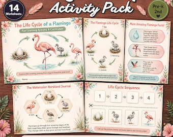 May include: A Flamingo Life Cycle Activity Pack featuring 14 worksheets with watercolor illustrations of flamingos in various growth stages. The pages include diagrams, facts, and sequencing exercises with text such as The Life Cycle of a Flamingo.