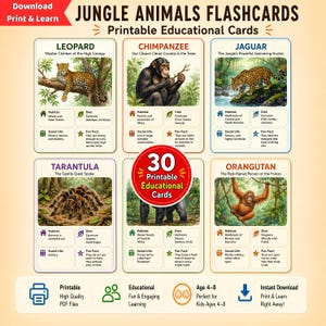Könnte beinhalten: Ein Set aus 30 druckbaren Lernkarten mit Dschungeltieren wie Leopard, Schimpanse, Jaguar, Vogelspinne und Orang-Utan. Jede Karte enthält eine Illustration sowie Informationen zu Lebensraum, Ernährung, Sozialverhalten und Fakten.