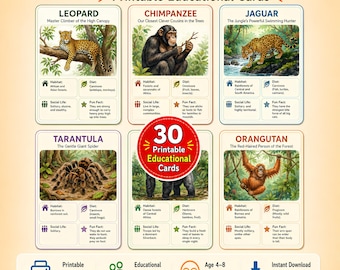May include: A set of 30 printable educational flashcards featuring jungle animals including a leopard, chimpanzee, jaguar, tarantula, and orangutan. Each card displays an illustration, habitat, diet, social life, and a fun fact about the animal.
