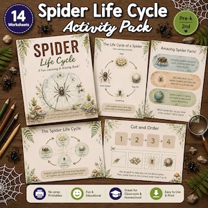 May include: A 14-page spider life cycle activity pack featuring a book cover, educational worksheets, and fact sheets with illustrations of spiders, egg sacs, and webs. The materials include text about spider development, cut-and-order tasks, and spider facts, all decorated with botanical fern accents.