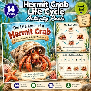 May include: A 14-page Hermit Crab Life Cycle Activity Pack workbook featuring a cover with a hermit crab in a shell, a starfish, and text. Includes a Circle of Life diagram and a Build the Life Cycle activity page with cut-out sections.