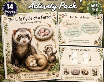 May include: A 14-page Ferret Life Cycle Activity Pack for ages 4-8. The printable guide features illustrations of ferrets at different life stages, fun facts, and an interactive ordering activity with cut-out images on a light background.
