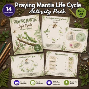 May include: A Praying Mantis Life Cycle activity pack featuring 14 worksheets with educational illustrations of mantis development stages, including egg cases, hatchlings, nymphs, and adults, with text labels and matching exercises on paper sheets.