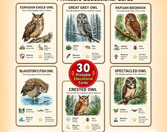 May include: A set of 30 printable educational flashcards titled OWLS FLASHCARDS. Each card features a detailed illustration of an owl species, including the Eurasian Eagle-Owl, Great Grey Owl, Papuan Boobook, Blakiston's Fish Owl, and Spectacled Owl.