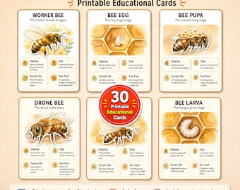 May include: A set of 30 printable educational flashcards titled BEES FLASHCARDS. The cards feature watercolor illustrations of worker bees, bee eggs, pupae, drones, and larvae, with text detailing habitat, diet, social life, and fun facts for each.