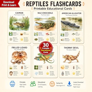 Puede incluir: Un conjunto de tarjetas educativas imprimibles con ilustraciones de reptiles, incluyendo un caimán, cocodrilo del Nilo, caimán americano, lagarto de cuello con volantes y diablo espinoso. Cada tarjeta muestra el nombre, hábitat, dieta y datos.