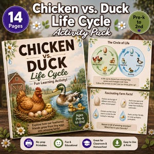 Cycle de vie du poulet et du canard | 14 fiches d'exercices scientifiques sans préparation | Étude thématique sur la ferme