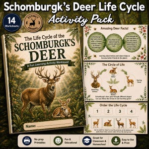 May include: A Schomburgk's Deer Life Cycle activity pack featuring a workbook cover with a deer illustration, 14 worksheets, and educational pages showing deer facts, a life cycle diagram, and an ordering activity with numbered boxes.