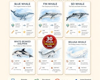 May include: A set of 30 printable educational flashcards titled Whales Flashcards. Each card features a watercolor illustration of a whale or dolphin, including the blue whale, fin whale, sei whale, white-beaked dolphin, and beluga whale with facts.
