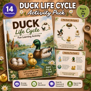 Cycle de vie du canard | 14 fiches d'exercices scientifiques sans préparation | Étude thématique : Étang et ferme