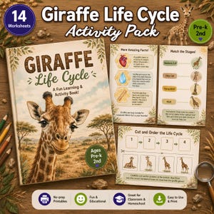 May include: A Giraffe Life Cycle Activity Pack with 14 worksheets for Pre-k to 2nd grade. The set includes a book cover featuring a giraffe, a facts sheet with illustrations of a heart and water drop, a matching stage worksheet, and a cut-and-order page.