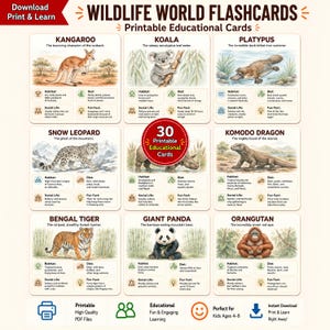 May include: A set of 30 Wildlife World Flashcards featuring illustrations of animals including a kangaroo, koala, platypus, snow leopard, rhinoceros, komodo dragon, bengal tiger, giant panda, and orangutan with habitat, diet, and fun facts.