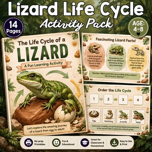 May include: A Lizard Life Cycle activity pack featuring 14 pages of educational content for ages 4-8. The cover displays a green lizard on a rock next to an egg, with additional pages showing lizard facts and a cut-and-paste life cycle ordering activity.
