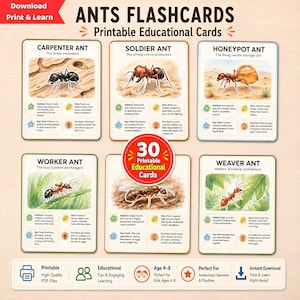 May include: A set of 30 printable educational flashcards titled ANTS FLASHCARDS. Each card features a detailed illustration of an ant species, including Carpenter, Soldier, Honeypot, Worker, and Weaver ants, with text describing habitat, diet, and traits.