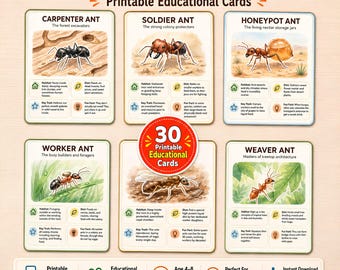 May include: A set of 30 printable educational flashcards titled ANTS FLASHCARDS. Each card features a detailed illustration of an ant species, including Carpenter, Soldier, Honeypot, Worker, and Weaver ants, with text describing habitat, diet, and traits.